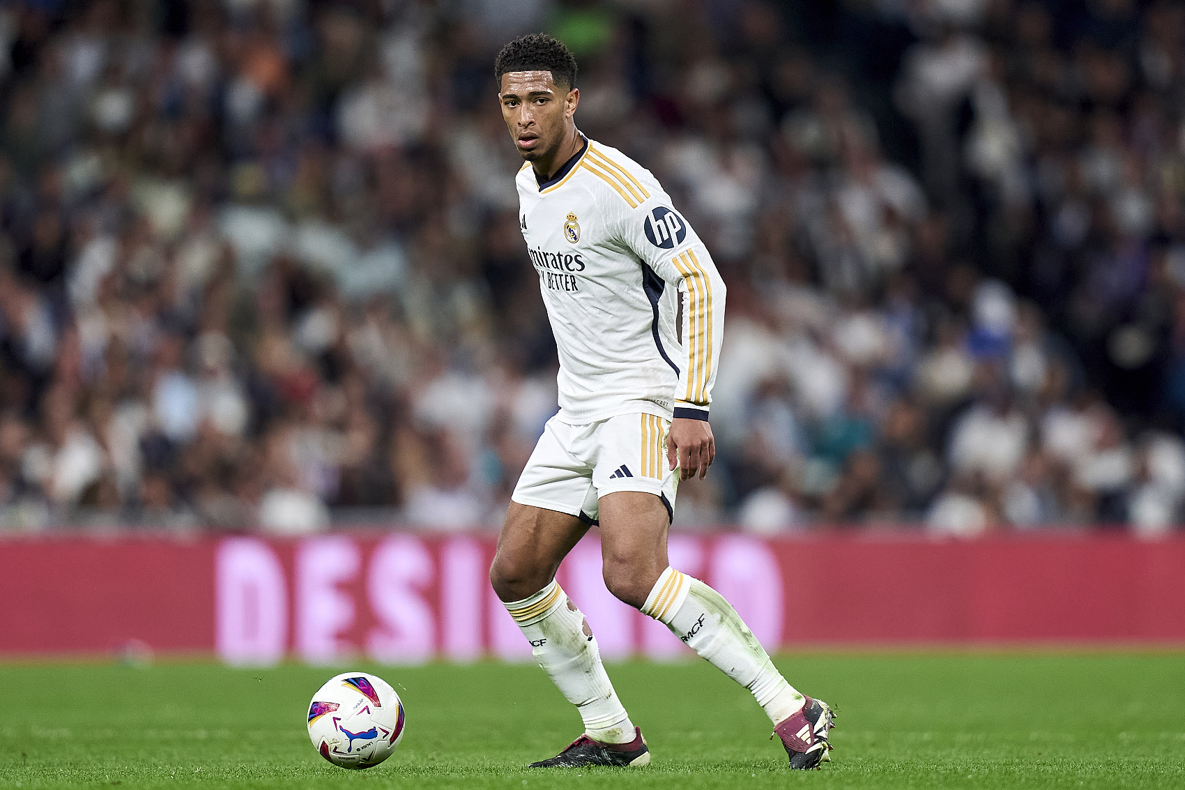 迷欣喜若狂 迷欣喜若狂