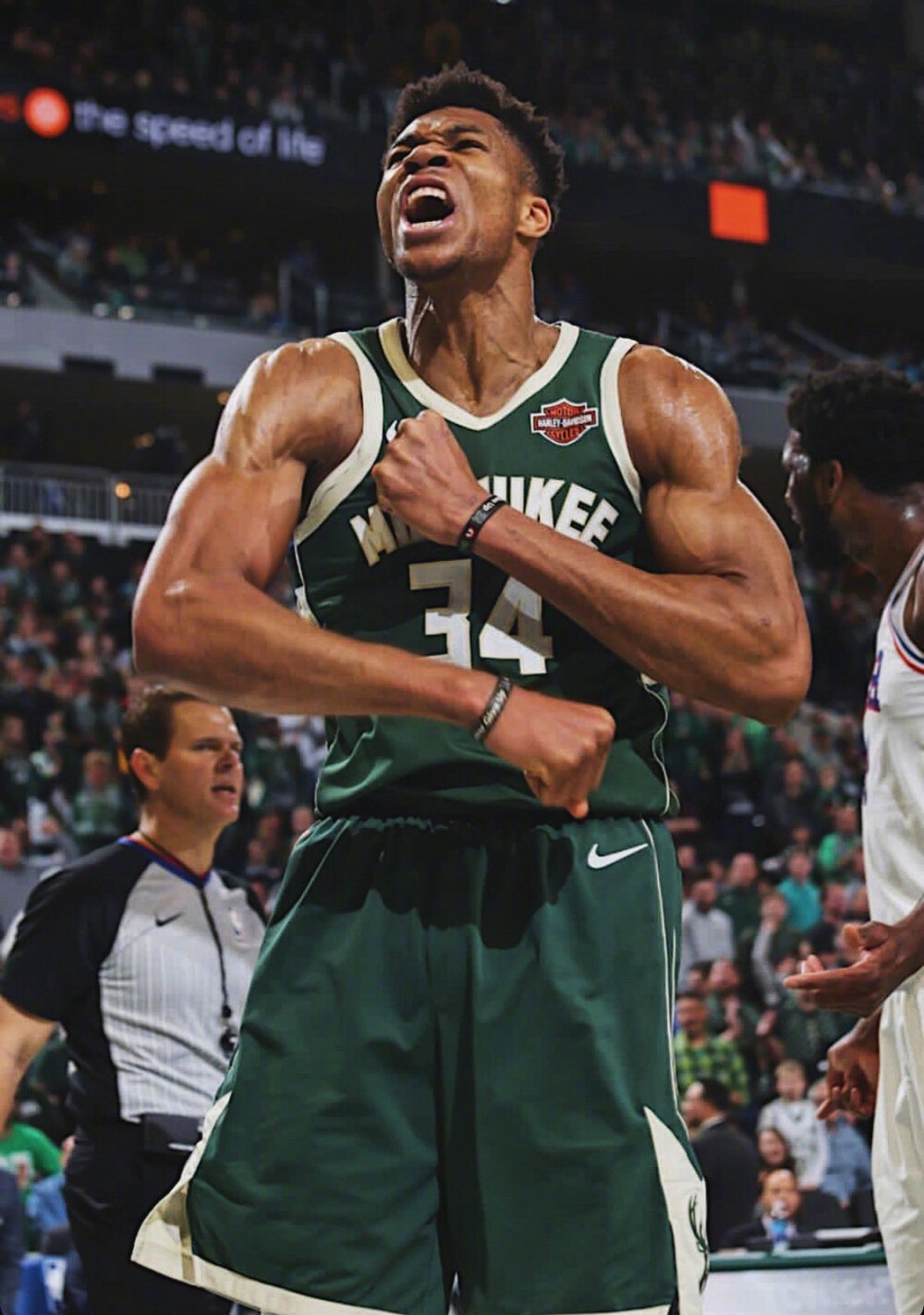 风险与缓释 风险与缓释